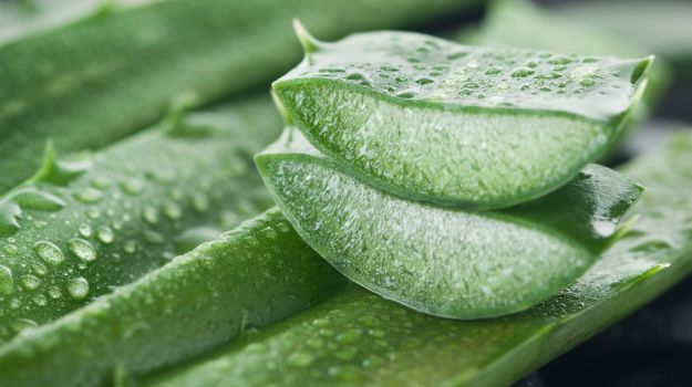 aloe-vera faiza beauty cream
