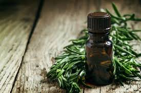 tea tree oil faiza beauty cream